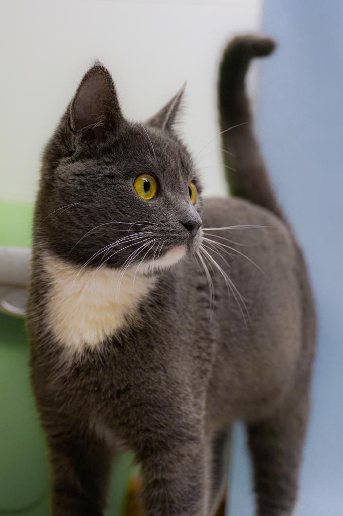 361adb75c4cab91ecdf35b16de1fa5287f135c32