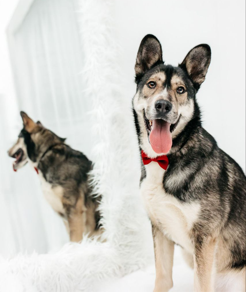 4ddb04_87fbb3119535418cb169cd0ce3cff79c~mv2