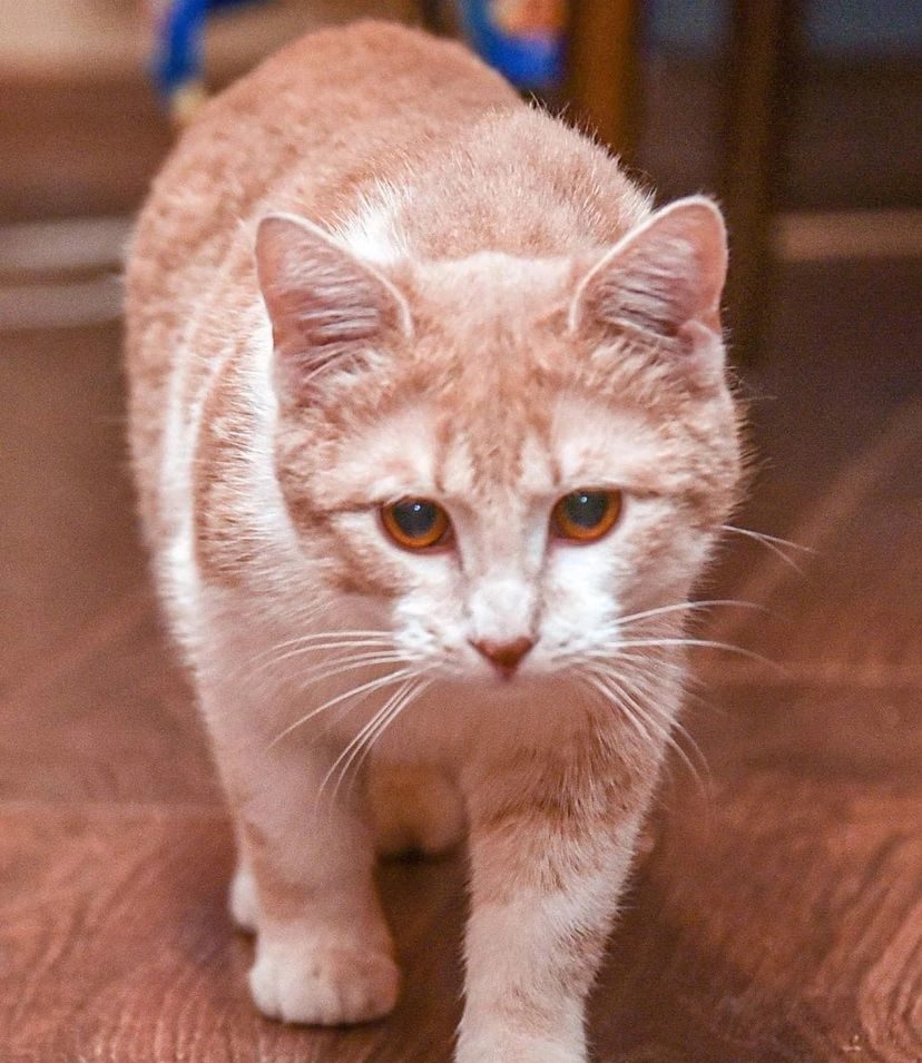 5d301112-e010-4cbe-94f4-670498b501a5-e1645955023547