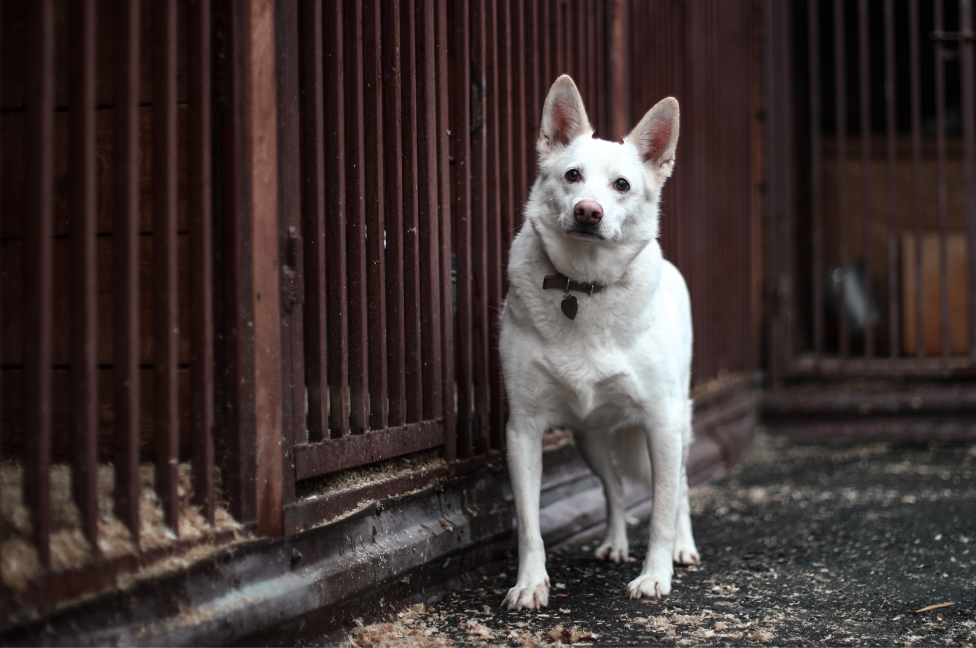 7cab8078bb91b93f5aa67bbe4ea6b55cb13b6e44