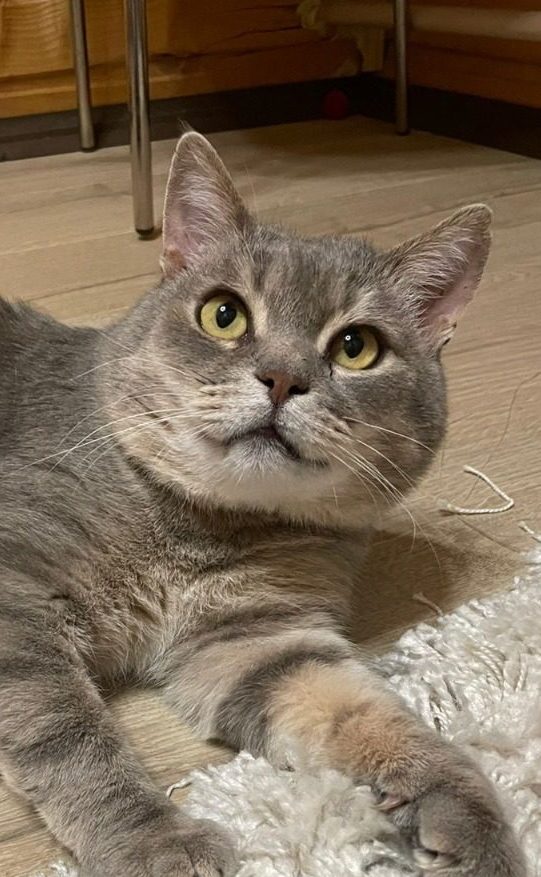 8e74ab2d-fef7-461f-af90-4a1e54cea357-e1684315349444