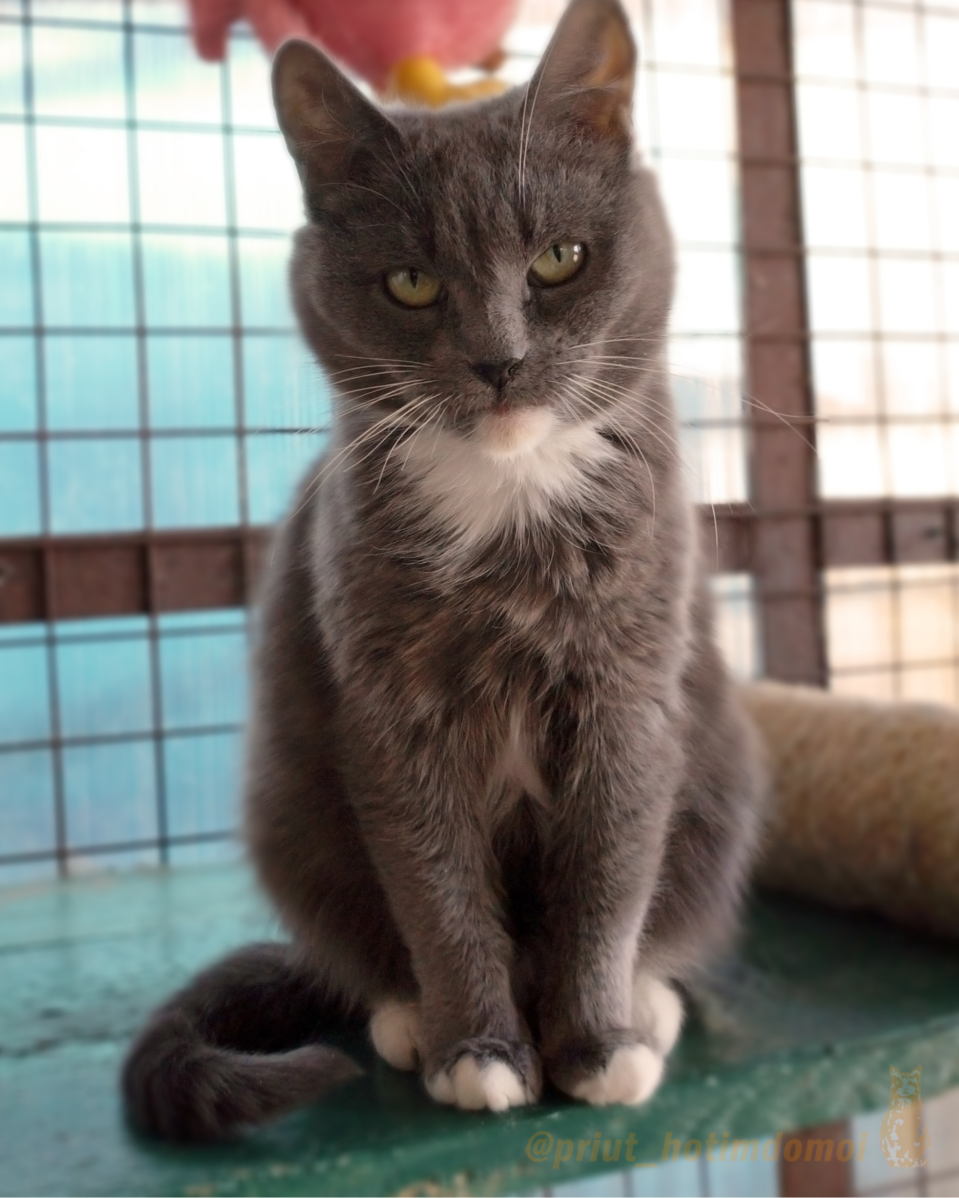 ba11f82372bde5dc1c62e0ddc853d1cd86b7c61c