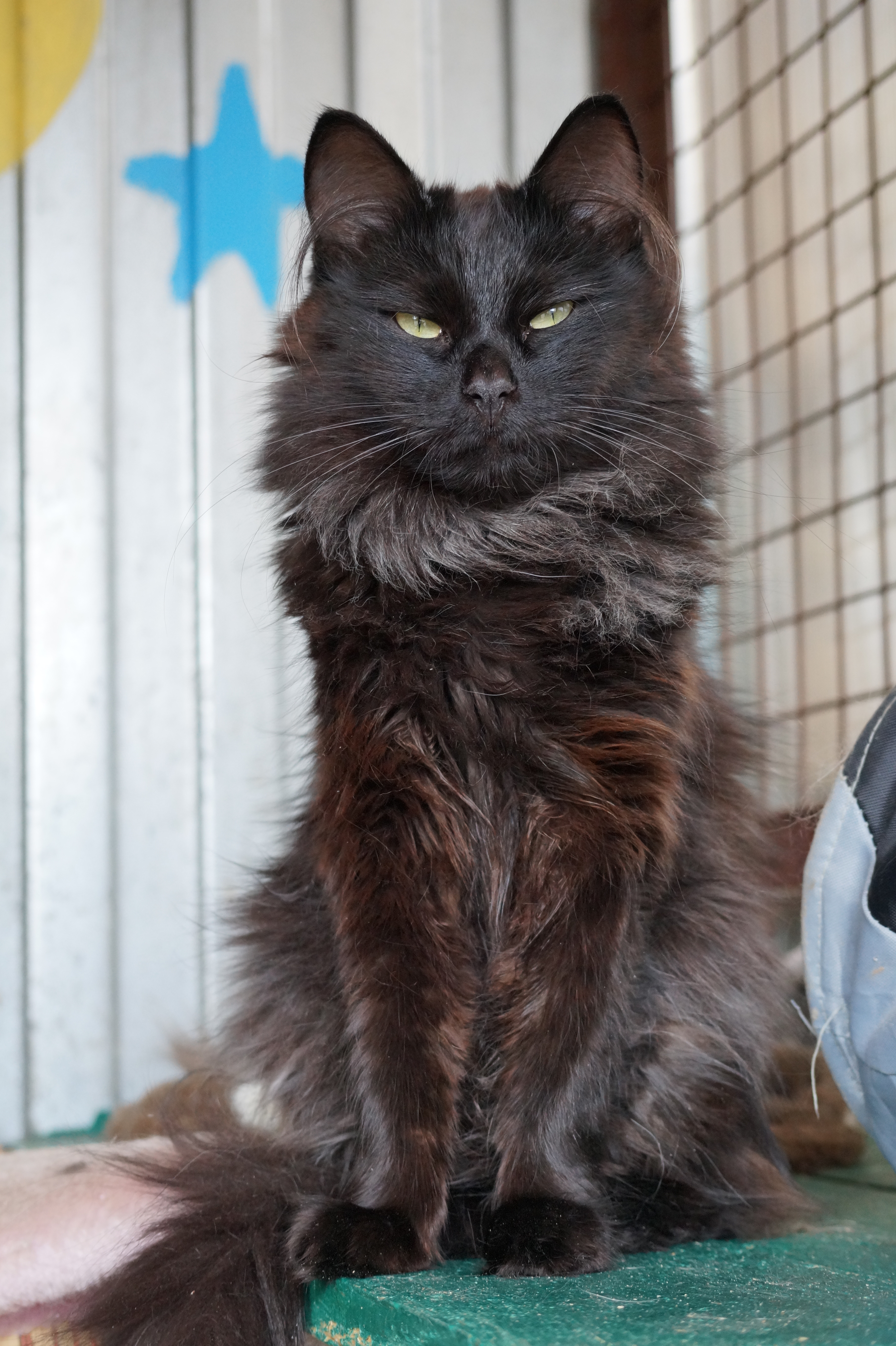 e14aa4a3bd75b1d4d798b9611f2aab2e896a991f